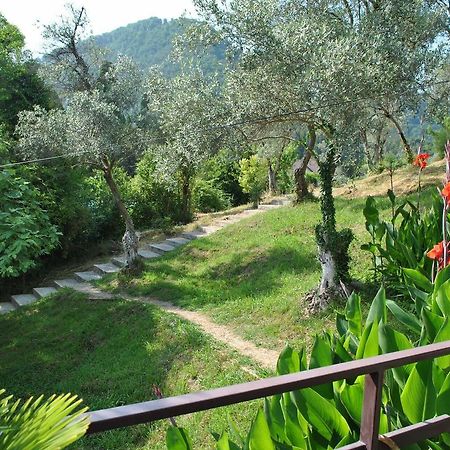 Villa Oliva New Athos Extérieur photo