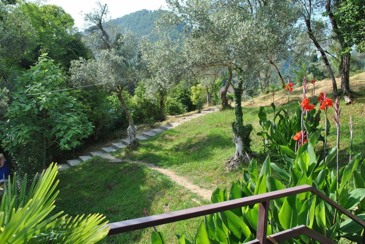 Villa Oliva New Athos Extérieur photo